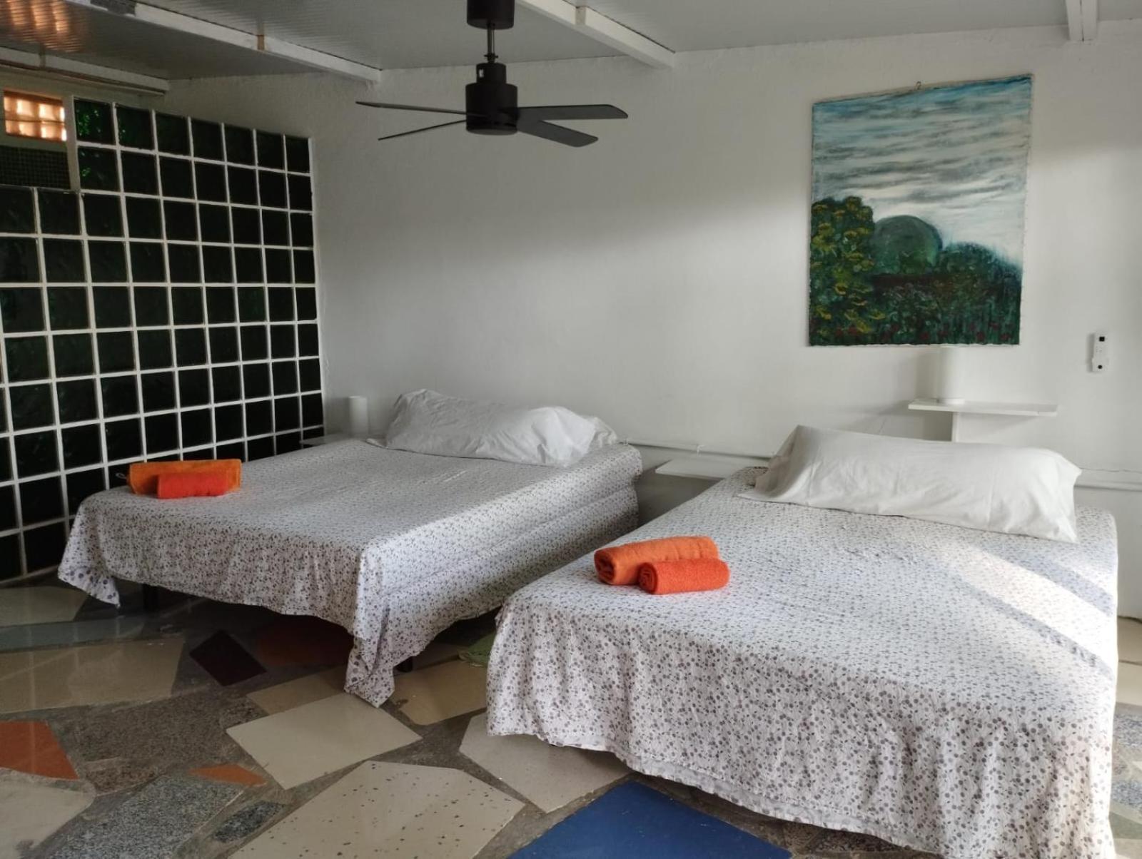 Jacaranda Apartment กาดิซ ภายนอก รูปภาพ